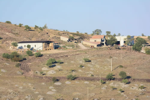 Azienda Agricola Canio Ricciuti