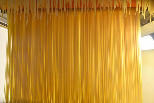 Produzione pasta Terra Antica