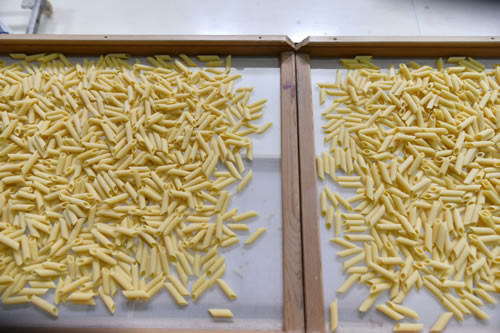 Produzione pasta Terra Antica