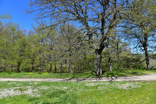 Agriturismo La Dimora dei Cavalieri