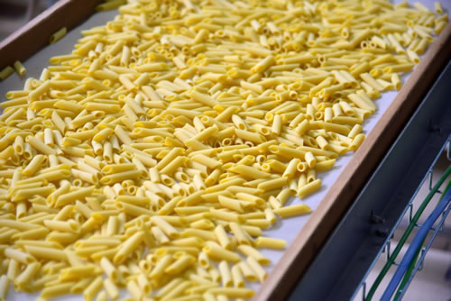 Produzione pasta Terra Antica