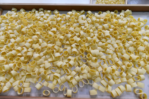 Produzione pasta Terra Antica